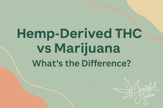 Hemp-Derived THC vs Marijuana: What’s the Difference?