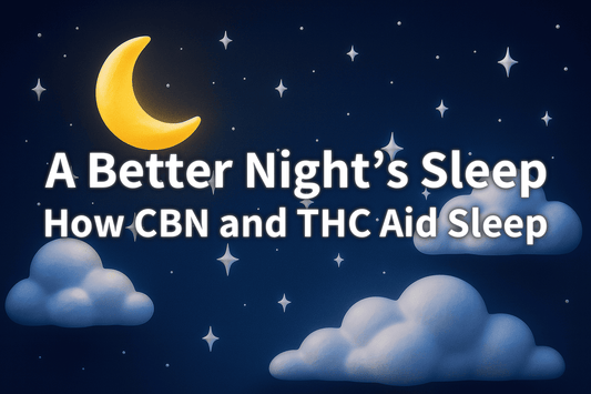 A Better Night’s Sleep: Exploring Wyld Sleep Gummies with CBN and THC