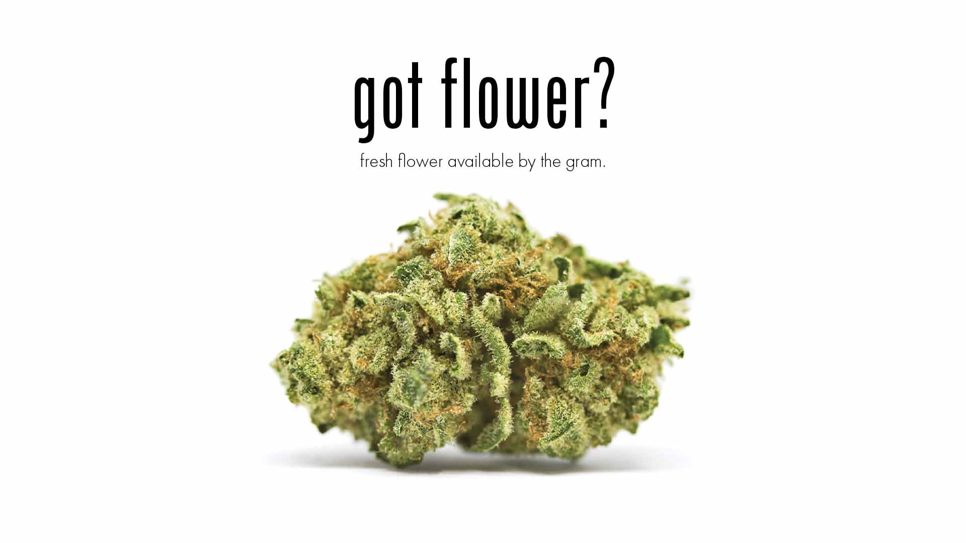Fresh Flower