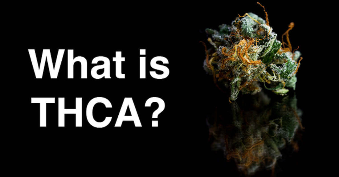 What is THCA? Exploring the Potential of the Cannabinoid