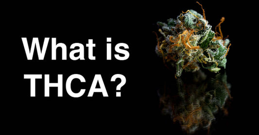What is THCA? Exploring the Potential of the Cannabinoid