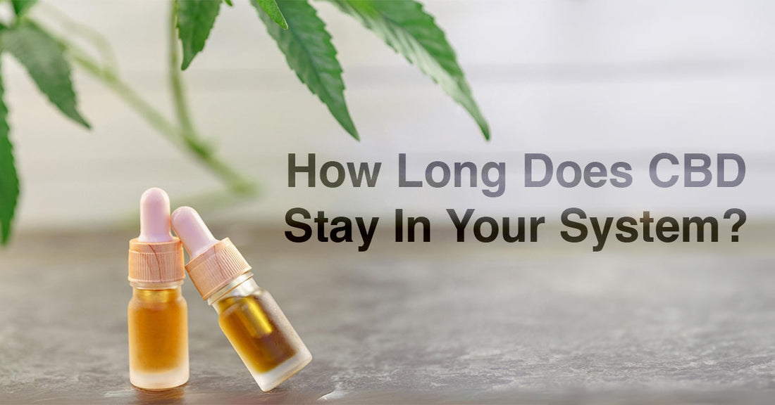 How Long Does CBD Stay in Your System?