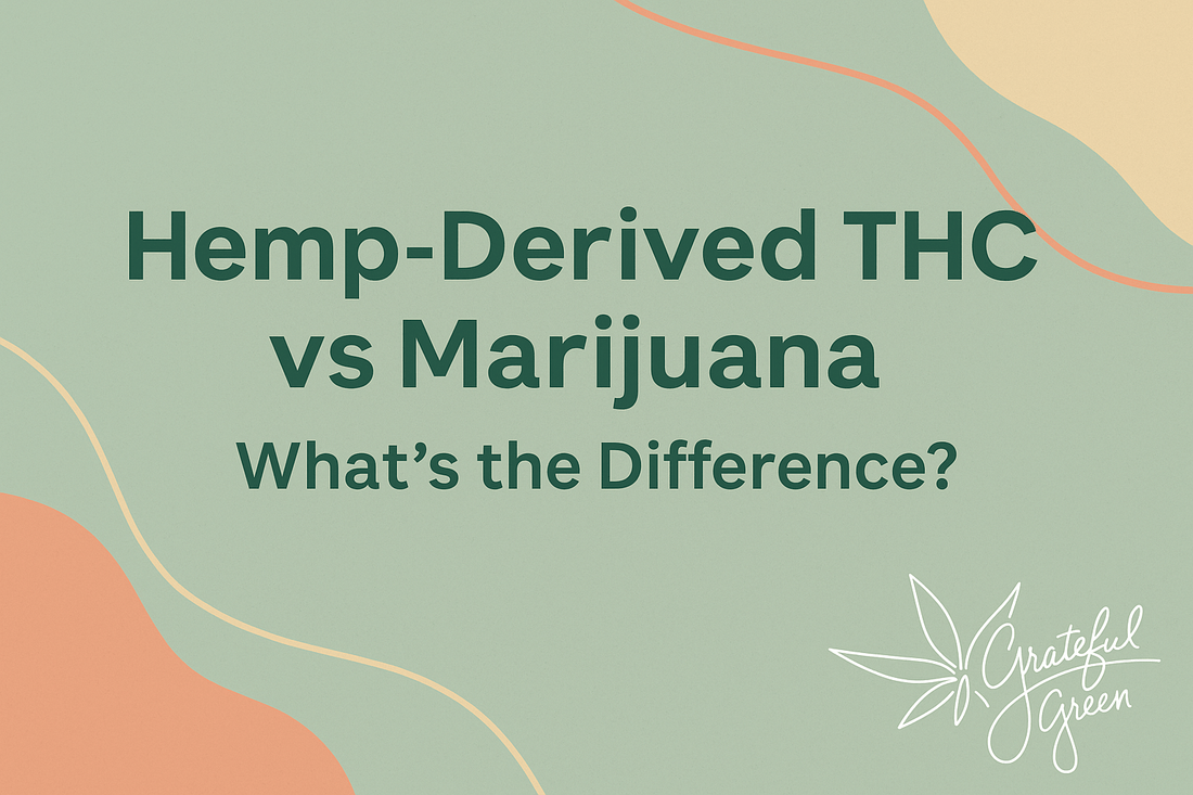 Hemp-Derived THC vs Marijuana: What’s the Difference?