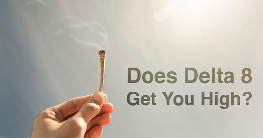 Does Delta 8 Get You High? 6 Ways to Look at it.