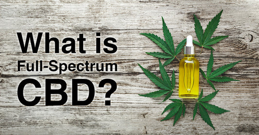 What Is Full Spectrum CBD? 