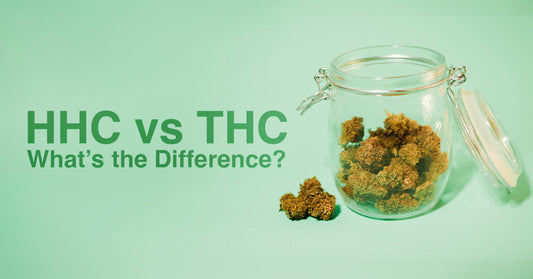 HHC vs THC: Which Products are Best for Your Health Journey?