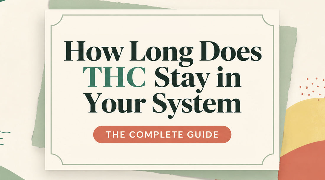 How Long Does THC Stay in Your System? The Complete Guide