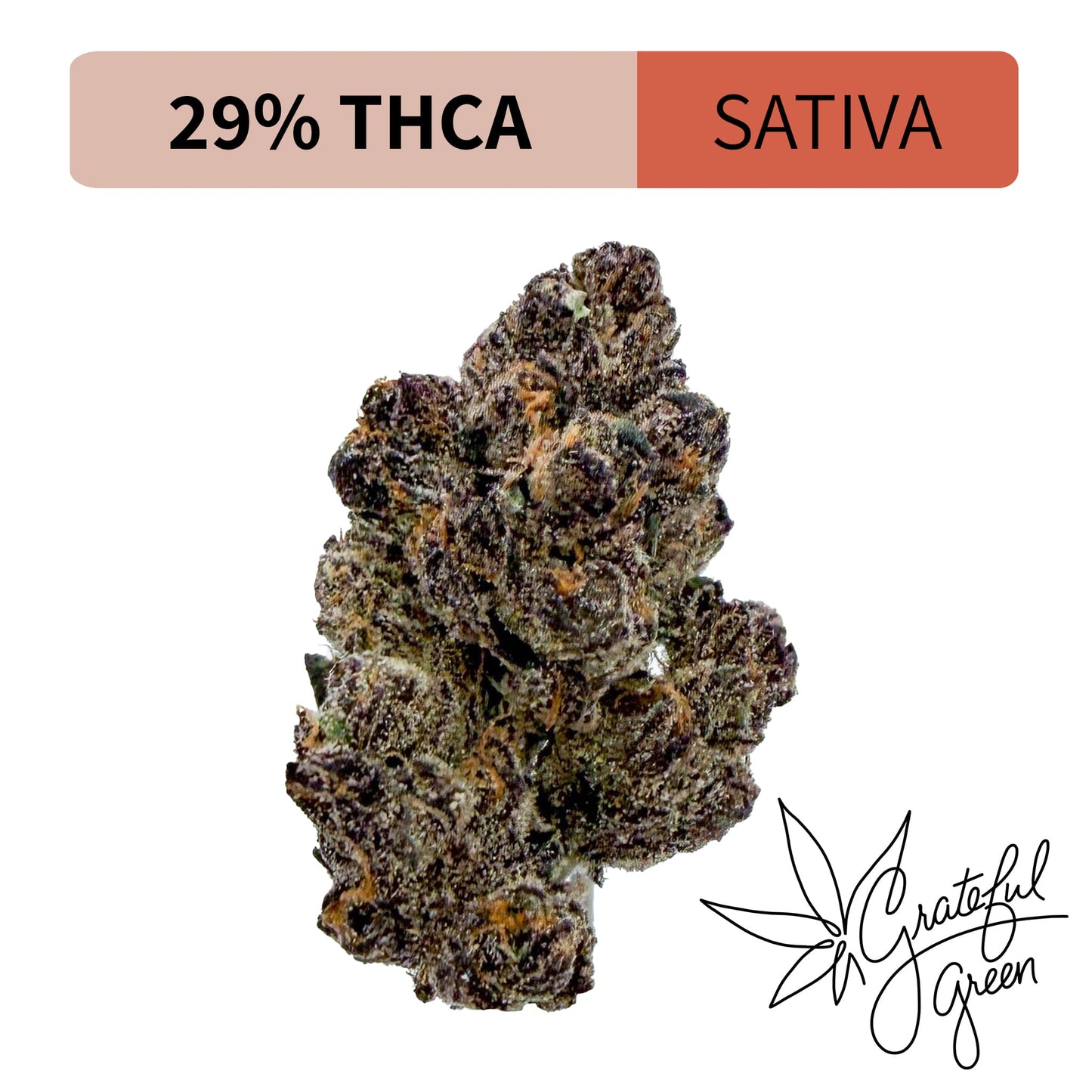 Cherry Bomb - Super Exotic THCA Flower