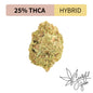Girl Scout Cookies - THCA Flower