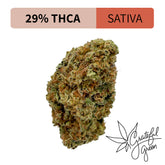Grateful Green Hemp & THC Dispensary