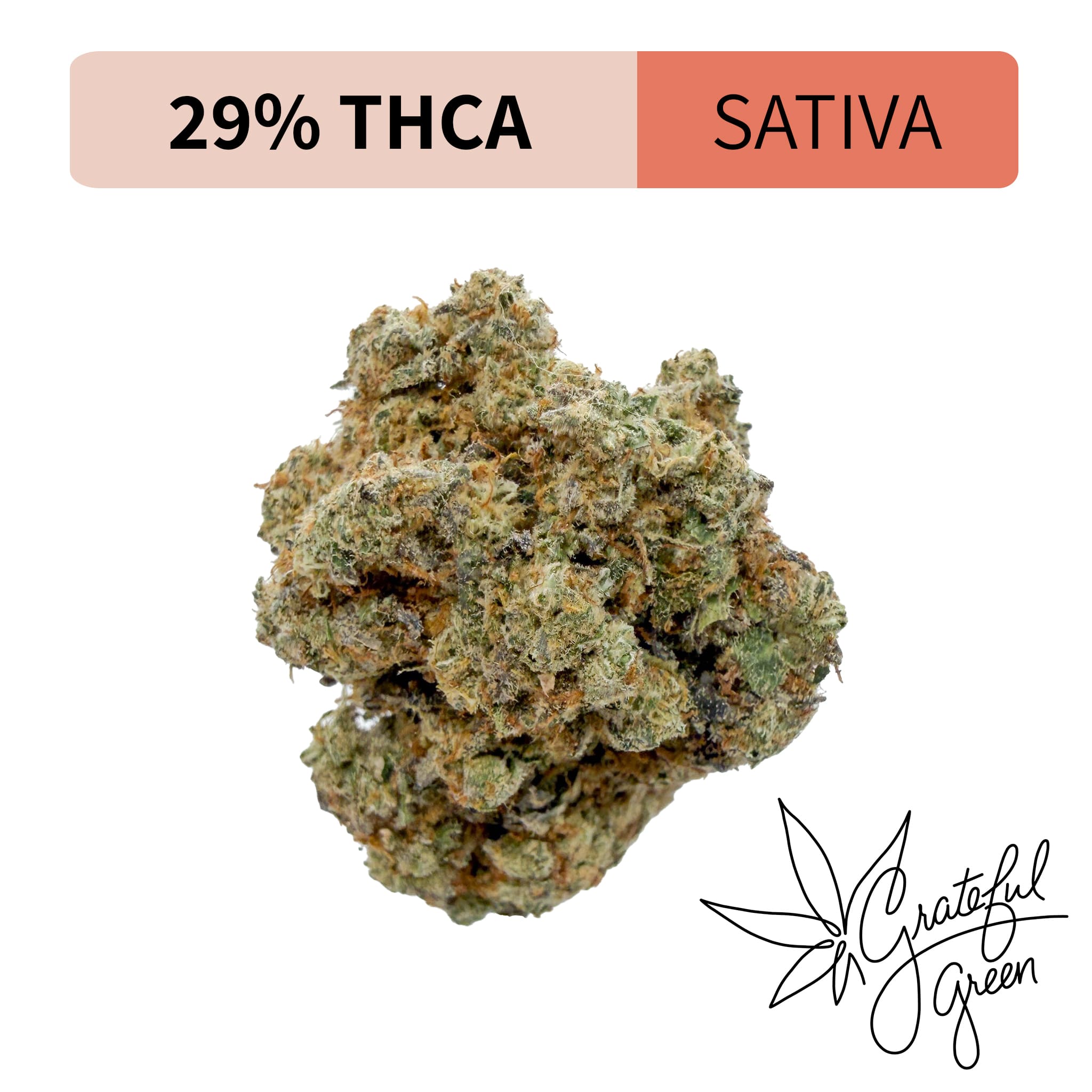 Sherb Z Premium THCA Flower | Grateful Green Dispensary