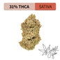 Sour Blue - Premium THCA Flower